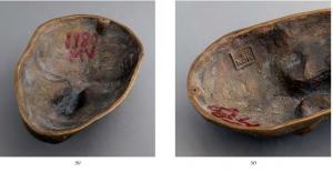 ������������� �����������
